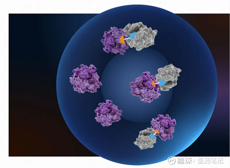 Halda Therapeutics Acquired by J&J for $3B: What the Hell Just Happened?